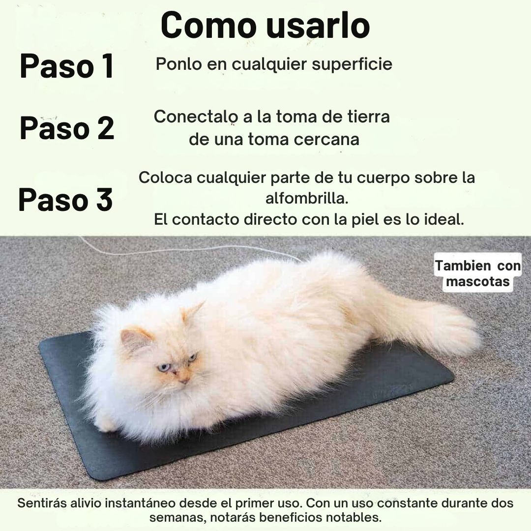 GroundPure™ - Conexión pura con la energía de la Tierra